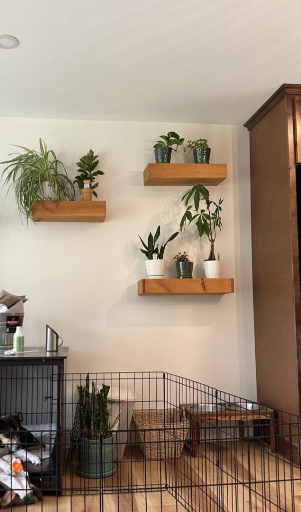 Custom-built raised garden beds with gravel pathways and a fence by Woodbine Repair & Remodeling in Jamestown, RI.