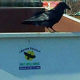 Raven Valley Refuse and Recycling