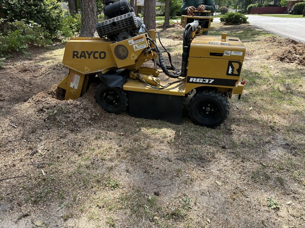 A Rayco stump grinder in action, removing a tree stump for De Paz Tree Service in Katy, TX