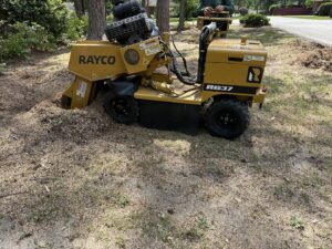 A Rayco stump grinder in action, removing a tree stump for De Paz Tree Service in Katy, TX