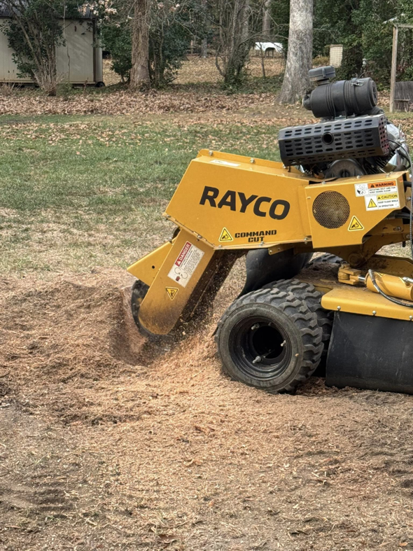 A Rayco stump grinder actively removing a tree stump, creating wood chips, by J-1 tree Service in Raleigh, NC.