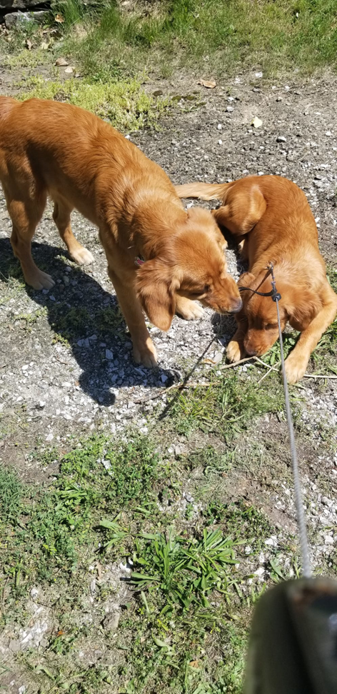 An expansive recycling yard filled with various scrap metal and heavy machinery at David Hirschberg Steel & Recycling Center in Cincinnati, OH.