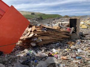 A red dumpster from 515 Dumpsters unloading wood debris at a disposal site in West Des Moines, IA.
