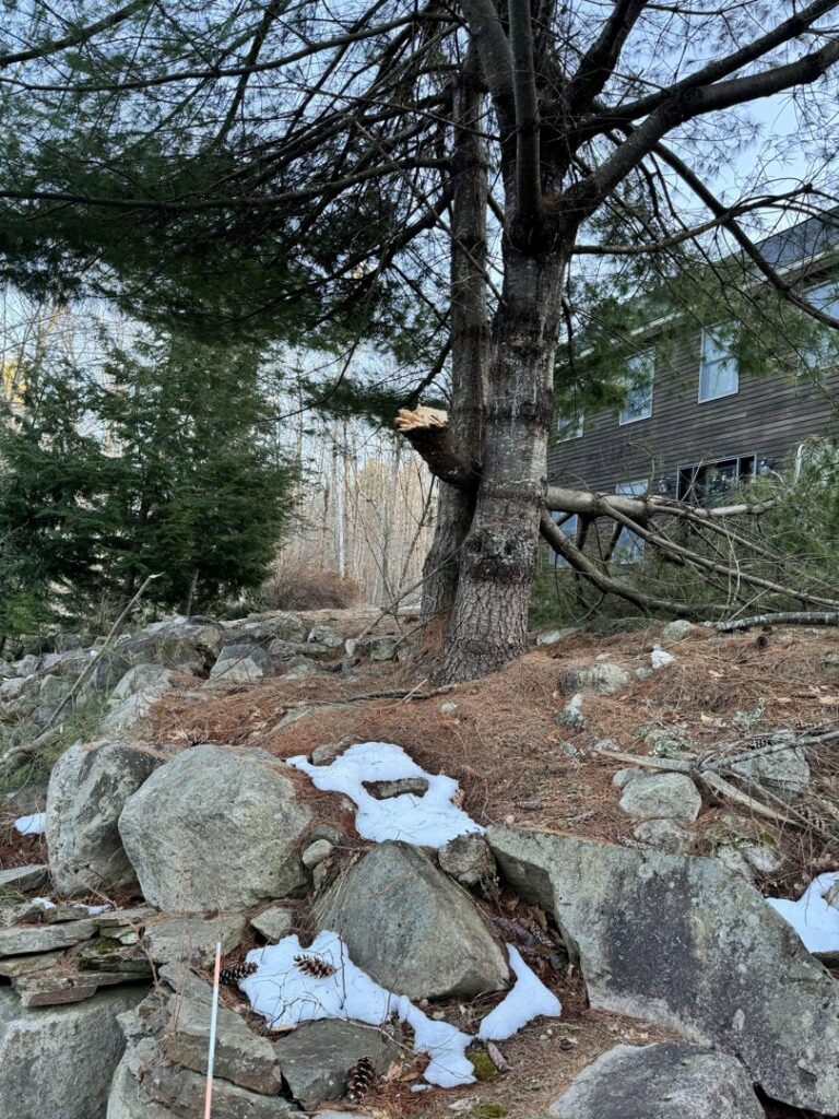 A red spider lift, specialized tree service equipment, used by Cassella Tree Service in South Portland, ME.