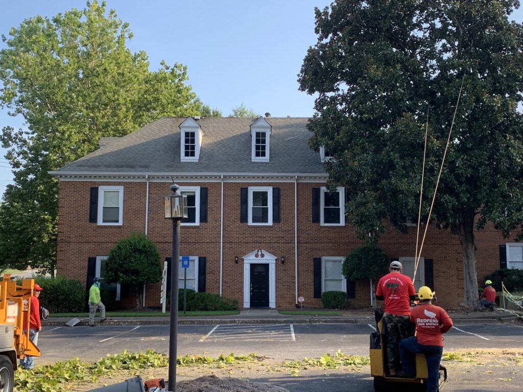 Redfern Tree Service crew performing stump grinding and clearing debris in Roswell, GA.