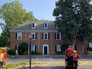 Redfern Tree Service crew performing stump grinding and clearing debris in Roswell, GA.