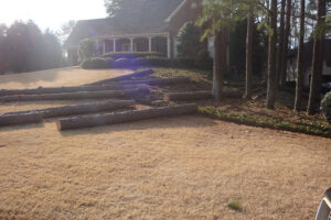 Large tree logs laid out on a lawn after a tree removal service by Redfern Tree Service in Roswell, GA.