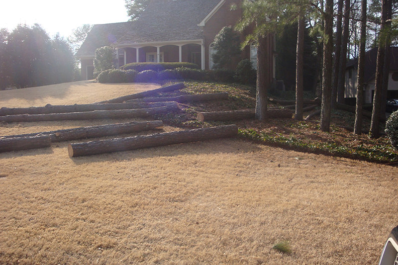 Large tree logs laid out on a lawn after a tree removal service by Redfern Tree Service in Roswell, GA.