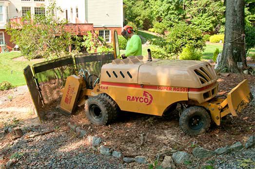 A Redfern Tree Service worker operating a stump grinder to remove a tree stump in Roswell, GA.