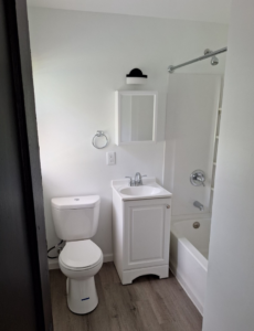 A renovated bathroom showing a new white vanity, toilet, and shower by Achieve Renovations in Pittsburgh, PA.