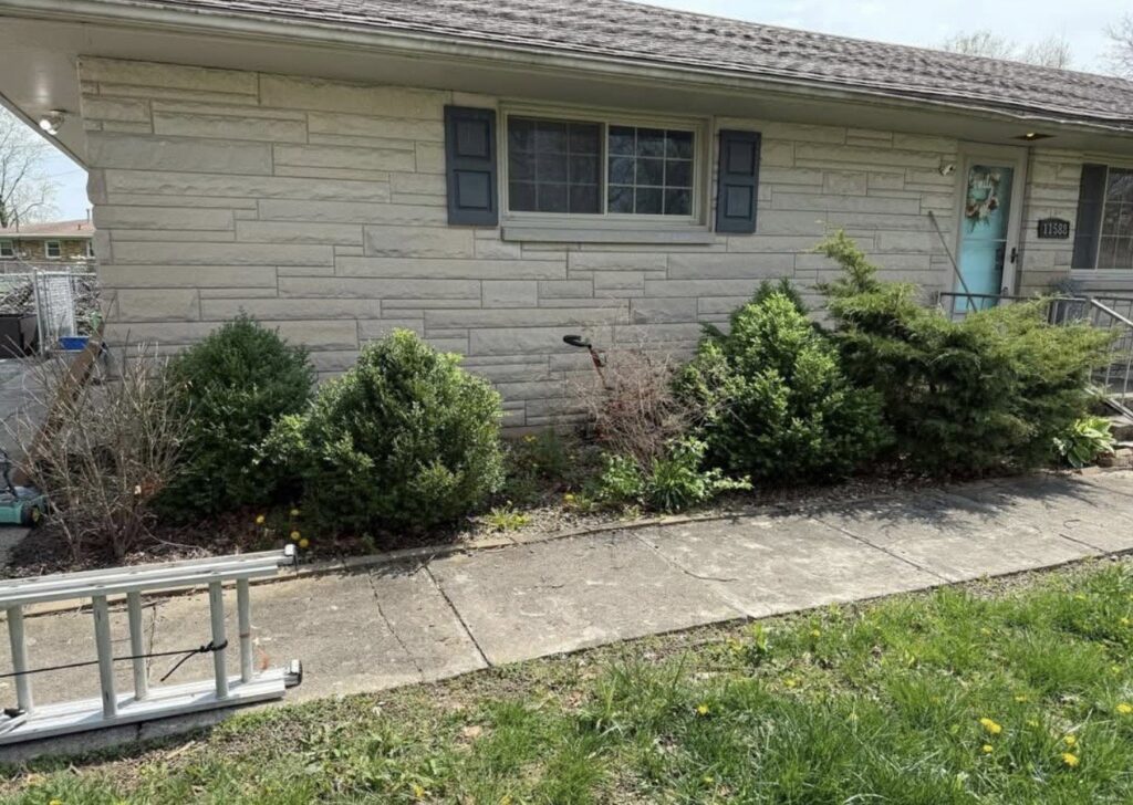 A well-maintained residential front yard with bushes and a ladder, showcasing landscaping services by Lankford Dirt Works LLC in Indianapolis, IN.