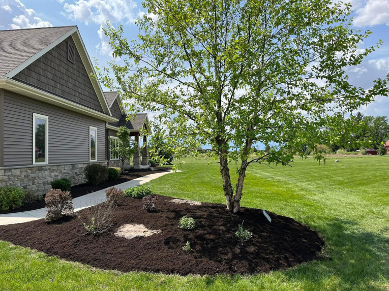 A residential side yard with newly mulched garden beds and tree care by E&K Property Preservation in Lake, MI.