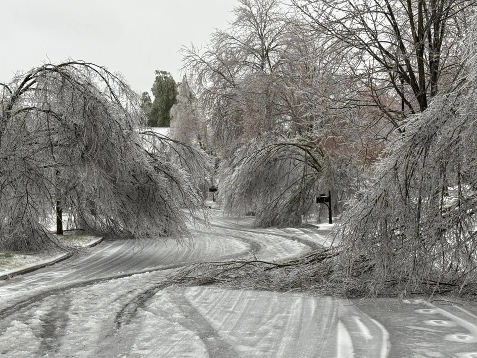 A residential street with ice-damaged trees and fallen branches, needing service from Tim's Tree Service & Landscaping in Milan, TN.