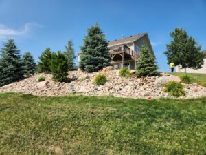 Residential tree planting and landscaping project with a worker visible by Tree Rows 4 U in Bismarck, ND.