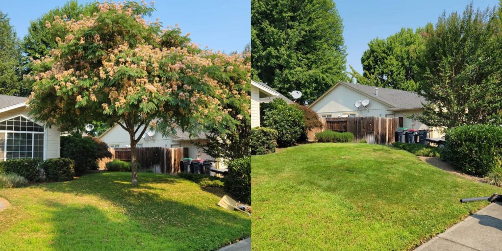 Before and after photos of a large tree removal service at a residential property by Peoria Tree Experts in Peoria, IL.