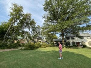 A residential tree service job in progress with a bucket truck and cut branches on the ground by Webster's Tree Service Nashville TN in Antioch, TN.