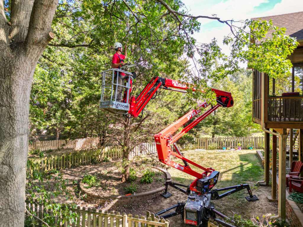 A tree service worker trimming a tree in a residential backyard with a spider lift for Braik's Tree Care in Columbia, MO.