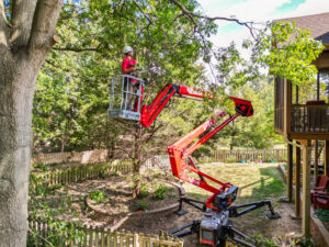 A tree service worker trimming a tree in a residential backyard with a spider lift for Braik's Tree Care in Columbia, MO.