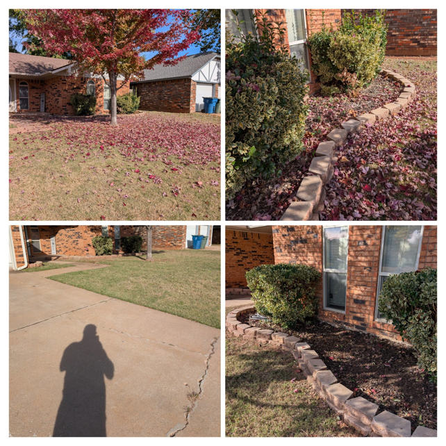 Residential yard cleanup showing before and after leaf removal by Bins and Scoops Solutions in Edmond, OK