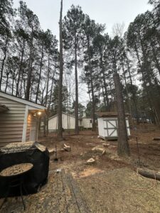 A residential yard showing multiple tree stumps and wood chips after tree removal by Tree service Rigoberto peraza in Atlanta, GA.