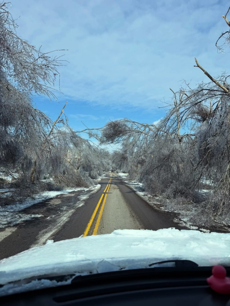A road blocked by ice-covered fallen tree branches after a storm, requiring cleanup from Tim's Tree Service & Landscaping in Milan, TN.