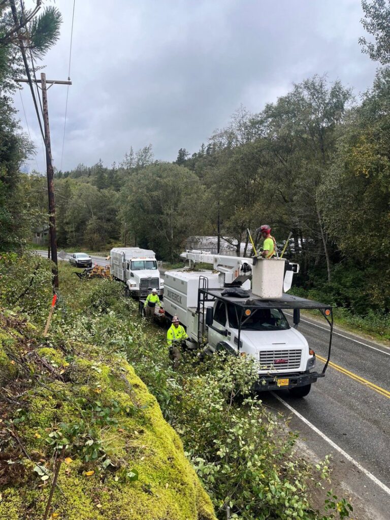 A crew from Carlos Tree Service with trucks and equipment performing roadside tree clearing and trimming in Juneau, AK.