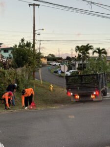 Tree service workers cleaning up branches and debris from a roadside, with a dump truck, by City Green Care Inc. in Honolulu, HI.