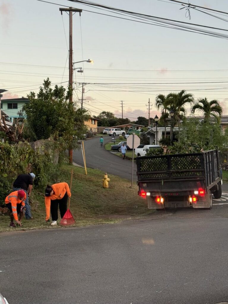 Tree service workers cleaning up branches and debris from a roadside, with a dump truck, by City Green Care Inc. in Honolulu, HI.