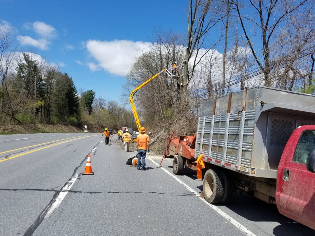 A tree service crew with a bucket truck and chipper performing roadside tree maintenance for Morgan Brothers Tree Care Solutions in Birdsboro, PA