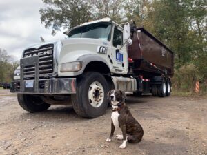 A Liberty Disposal, Inc. roll-off truck with a brown dumpster and a dog in the foreground in Tucson, AZ.