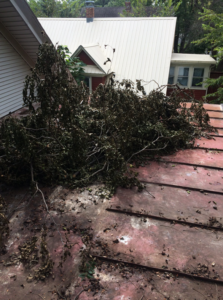 Branches and debris on a metal roof, indicating a cleanup job performed by The Hot Handyman in Lawrence, KS.