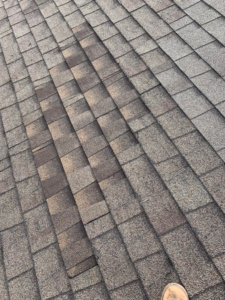 Close-up of a shingled roof showing areas of wear and discoloration, a common repair for Dan's "Do it All" Handyman Services in Reno, NV.