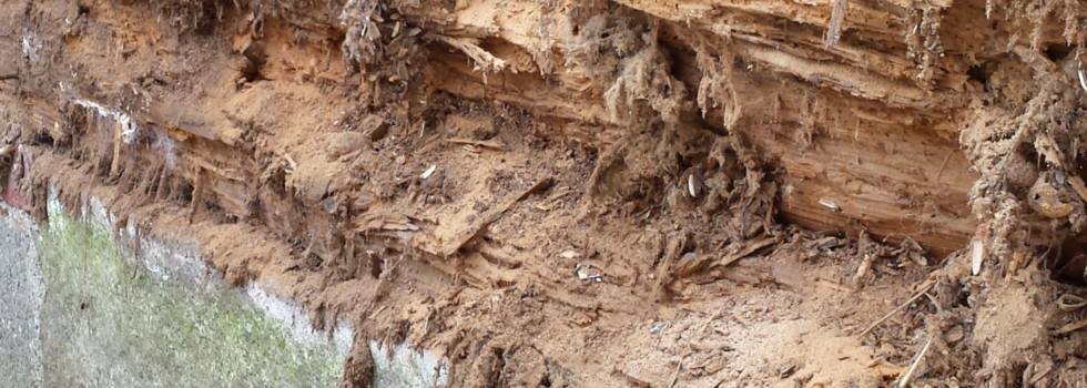 Close-up of severely rotted wood sill damage, showing the need for replacement by Richard C. Michalak in Worcester, MA.