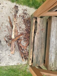 Rotten wood pieces removed from a deck or outdoor structure by Green Man's Contracting & Landscaping LLC in West Hartford, CT.