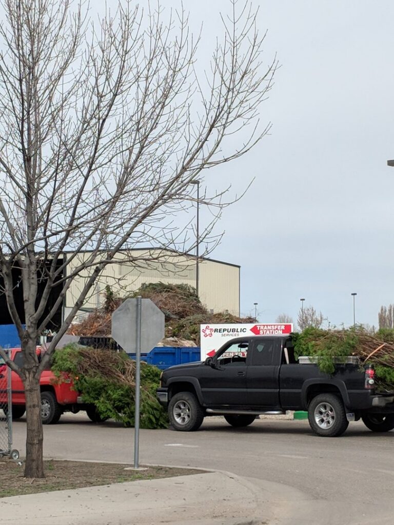 A row of green commercial dumpsters behind a fence, representing equipment used for junk removal services in Meridian, ID.