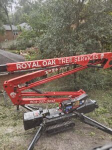 A red spider lift with Royal Oak Tree Services branding, used for tree work near a residential property in Jacksonville, FL.