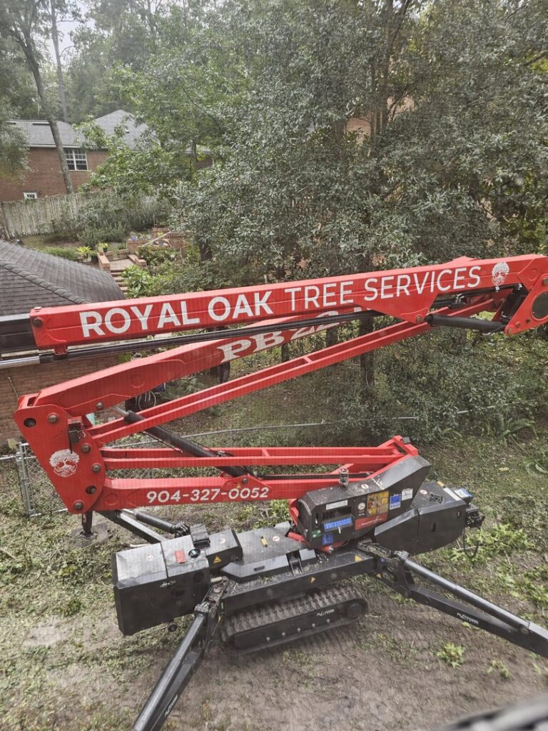 A red spider lift with Royal Oak Tree Services branding, used for tree work near a residential property in Jacksonville, FL.