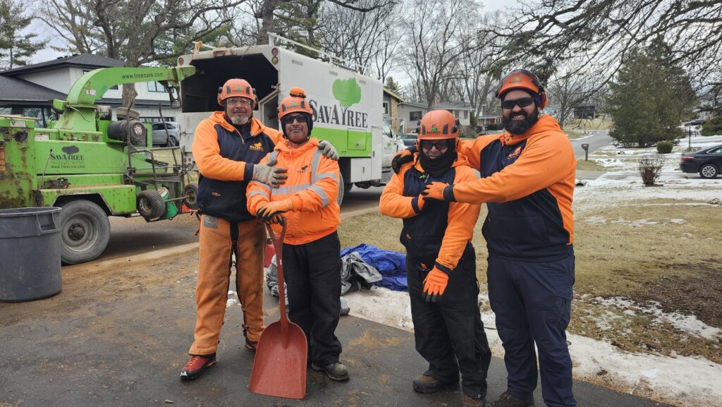 A Savatree crew stands with their truck and wood chipper in a snowy residential area in Burlington, VT.