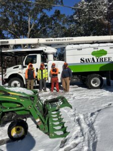 A Savatree crew with a bucket truck and tractor in the snow, ready for tree service in Burlington, VT.