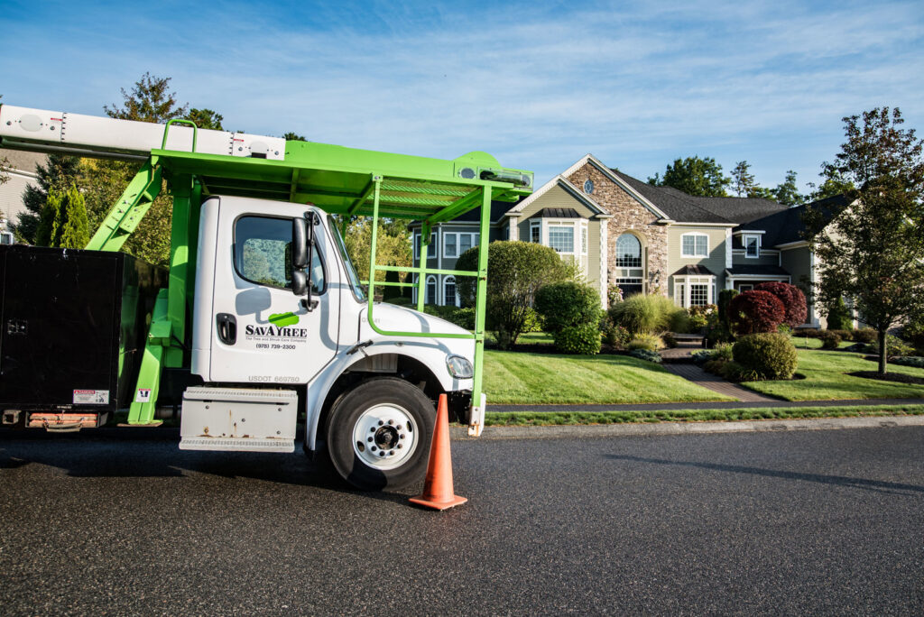 A Savatree truck with a bucket lift parked on a residential street for tree service in Burlington, VT.