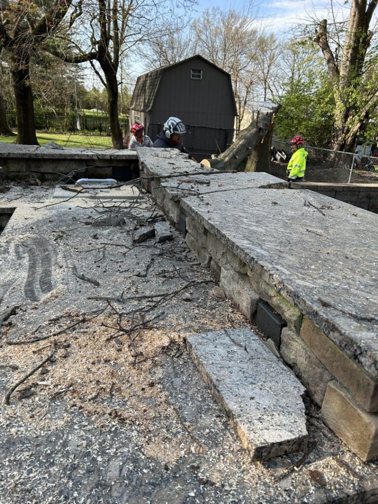 Sawdust and small branches on a stone wall after tree work, showing the cleanup process by Gray's Tree and Crane Service in Evansville, IN.