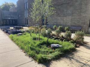 A newly landscaped area with grass, trees, shrubs, and benches in front of a school building by NARDI Construction, Inc. in Frederick, MD.