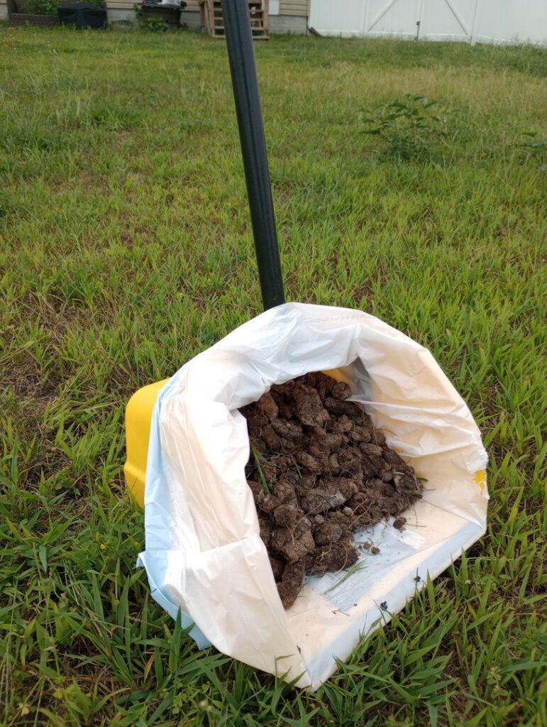 A scoop and a white bag filled with collected dog waste on a grassy lawn, demonstrating pet waste removal by They Poop We Scoop in Lewes, DE.