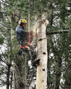 A Sennebogen machine grappling large tree branches next to a wood chipper for Dark Arbor Tree Care in Portland, ME.