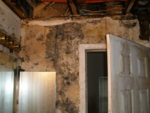 A bathroom with severe mold damage on walls and ceiling, ready for restoration by Paul Davis Restoration of Charlotte, NC.