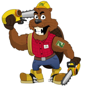 Sharp Edge Tree & Landscape