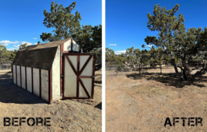 Before and after photos showing a shed completely removed by Duke City Dumpster Rentals LLC in Albuquerque, NM, demonstrating junk removal services.