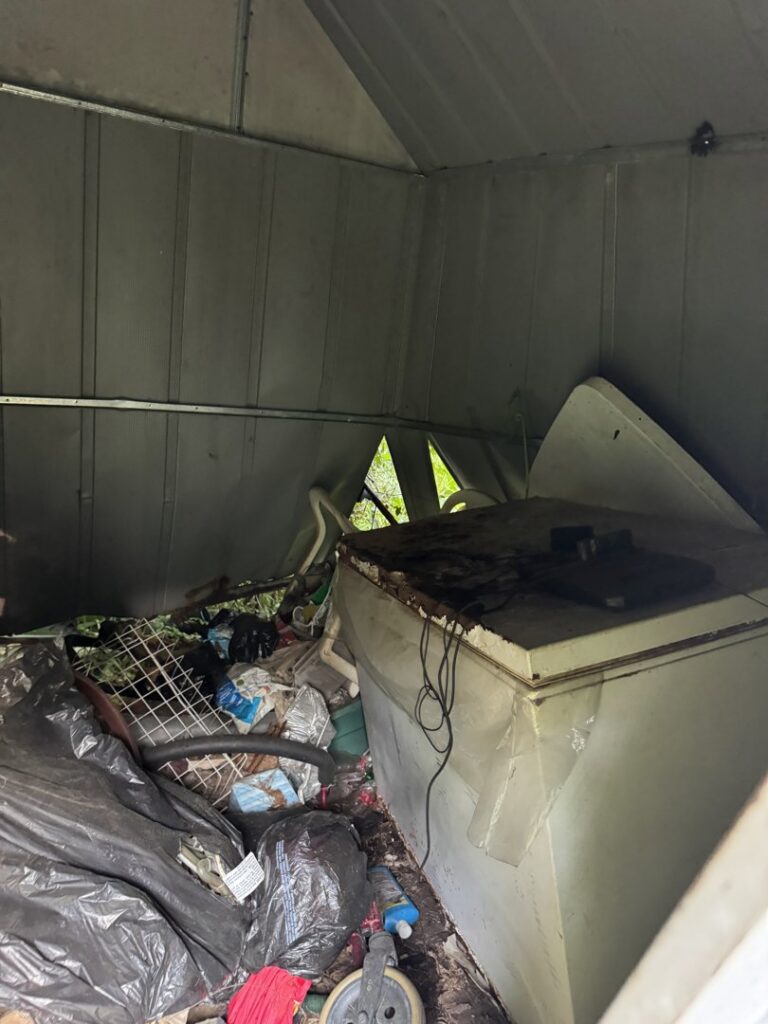 The interior of a shed filled with trash, an old freezer, and various items, indicating a shed cleanout by L.P.Z Trash & Junk Removal in Tallahassee, FL.