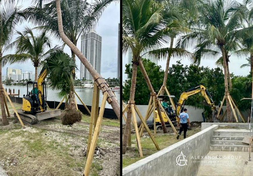 Site preparation and palm tree installation near the waterfront by Alexander Group Construction in Miami, FL.