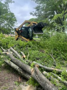 A skid steer positioned among cut tree branches and logs after tree removal by Monterroso tree service in Little Rock, AR.